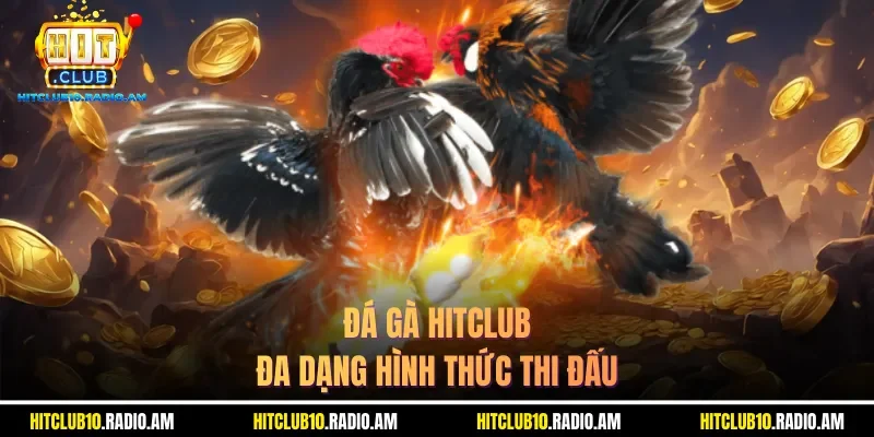 da-ga-hitclub-da-dang-hinh-thuc-thi-dau