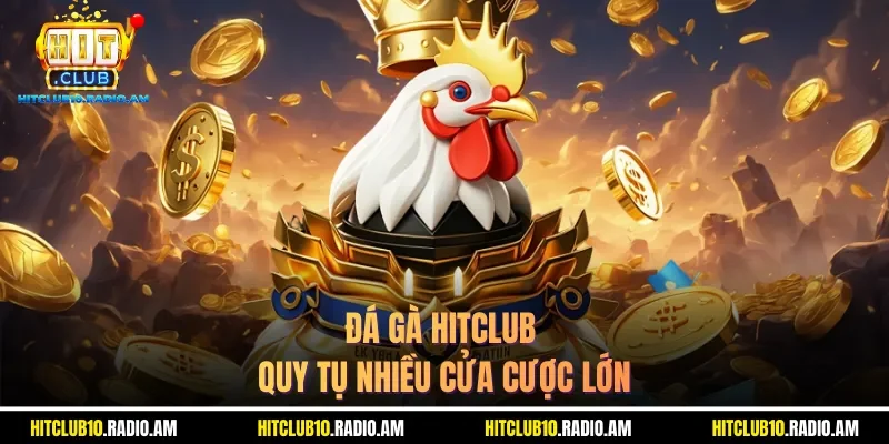da-ga-hitclub-quy-tu-nhieu-cua-cuoc-lon