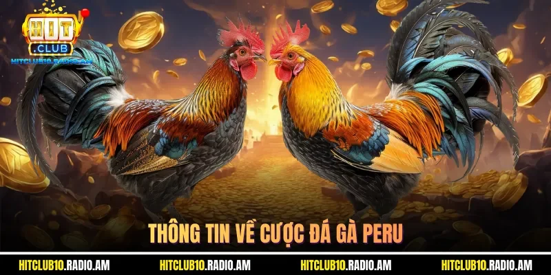 thong-tin-ve-cuoc-da-ga-peru